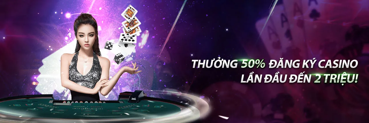 Tổng quan điều khoản dịch vụ